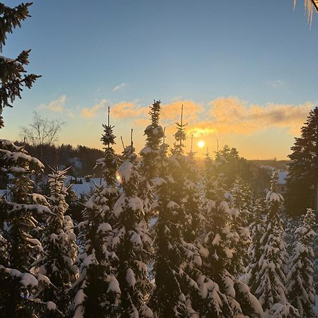 Harzer Traum - Renoviert, Inklusive Waesche Und Wlan Appartement Braunlage Buitenkant foto